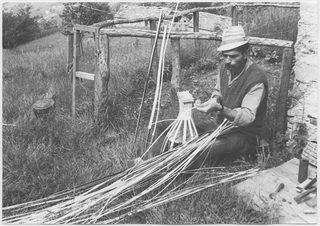 Descrizione fondo Aldo Morosoli