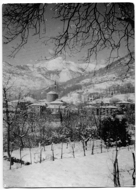 Veduta di Tesserete innevata