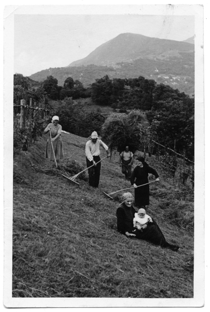 Famiglia durante la fienagione