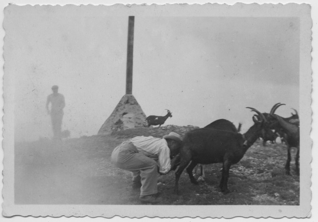 Uomo che beve latte da una capra al Motto della Croce