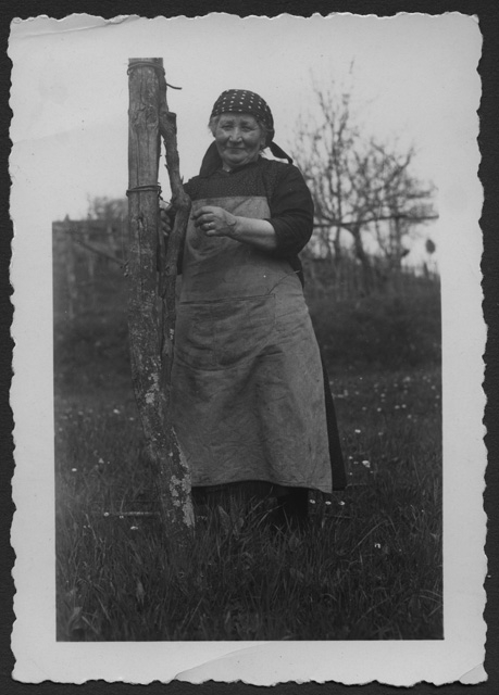 Giacomina Airoldi mentre fa vigna