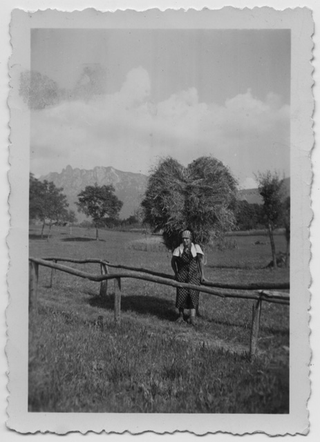 Albina Baruffaldi con un carico di fieno nella campagna di Vaglio