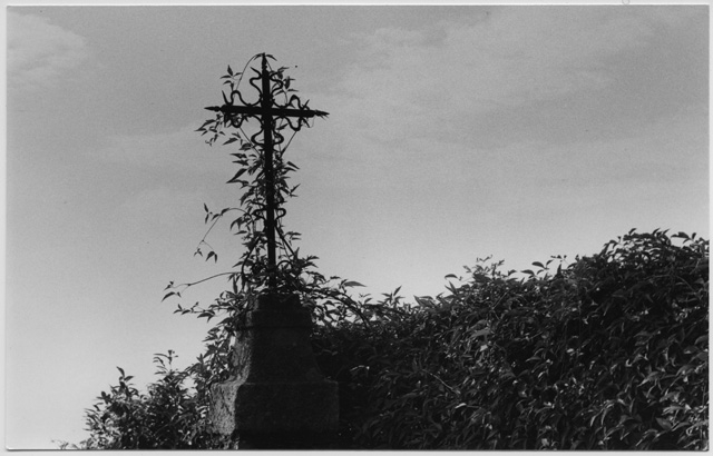 Croce in ferro coperta da una siepe al Convento di Bigorio