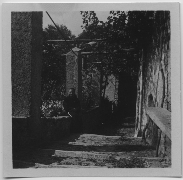 Ritratto di frate sotto una pergola