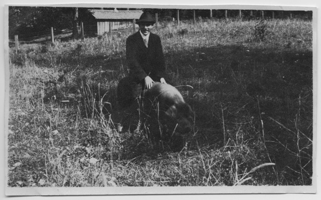 Ritratto di uomo a cavallo di un maiale