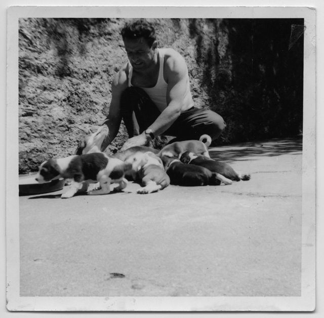 Uomo che accarezza un cane mentre allatta i suoi cuccioli