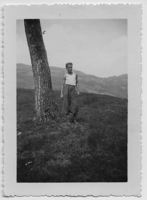 Ragazzo accanto ad un albero ai monti di (?)