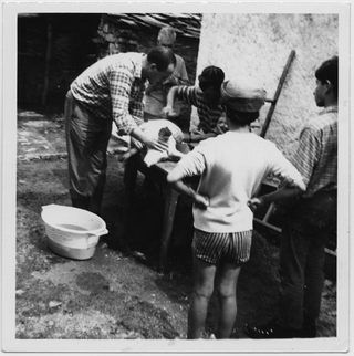 Mazza del maiale a Stinchè Gola di Lago