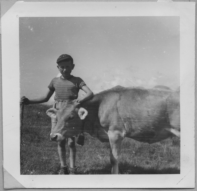 Elio Fumasoli in posa con un vitello a Gola di Lago