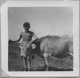 Elio Fumasoli in posa con un vitello a Gola di Lago
