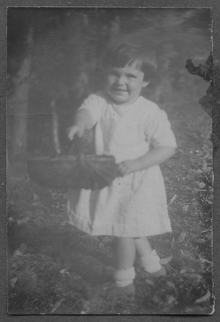 La raccolta delle castagne