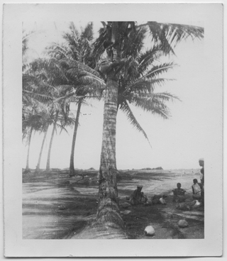 Soldati a riposo all'ombra di una palma