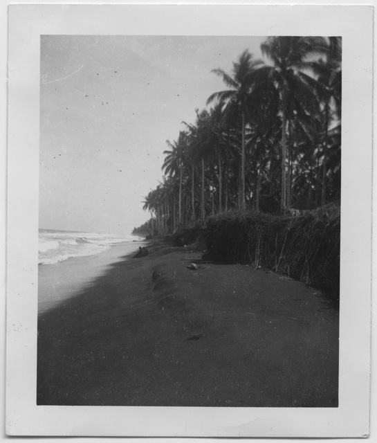 Veduta di una spiaggia
