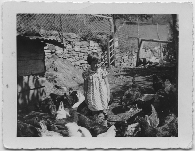 Bambina in un pollaio