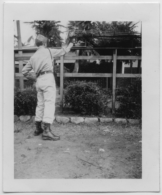 Soldato dell'esercito degli Stati Uniti con uno struzzo