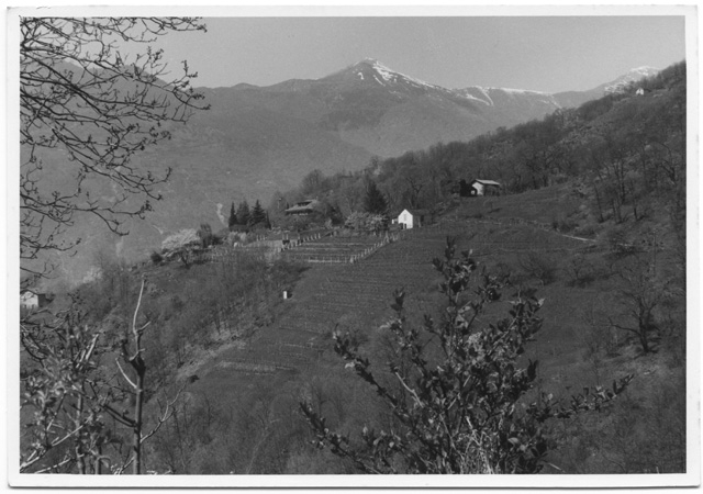 Casa Favessa con i Ronchi da Sala Capriasca