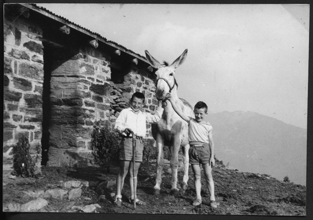 Helios e Renato Gianini con un mulo all'Alpe Musgatina