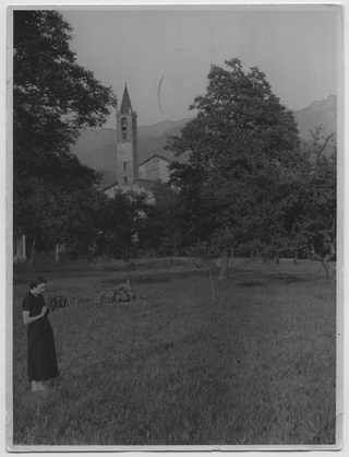 Pia Canonica in un prato a Tesserete