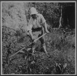 Mario Bernasconi mentre falcia il prato