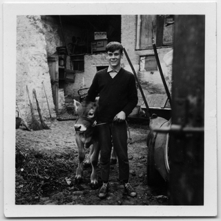 Brunello Storni in posa con un vitello nel nucleo di Sala