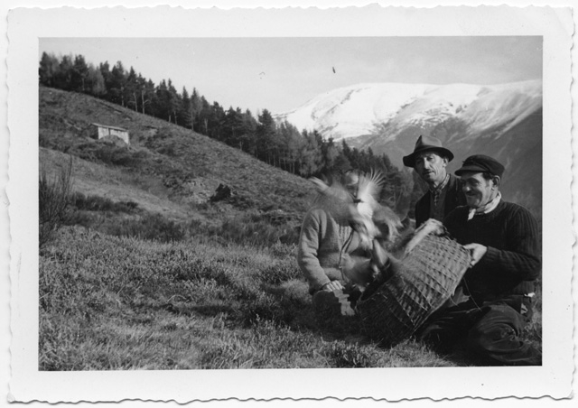 Remo Canonica (al centro) con amici mentre libera dei volatili a Bidogno