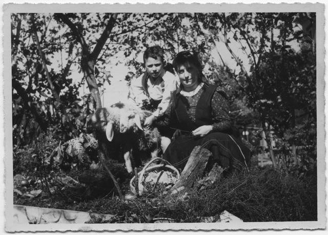 Donna con bambino e pecore