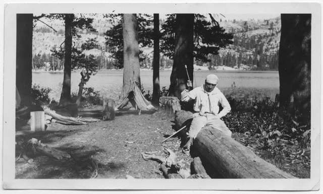 Uomo mentre intaglia un tronco d'albero