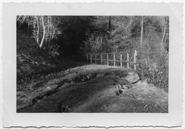 Crollo di una strada