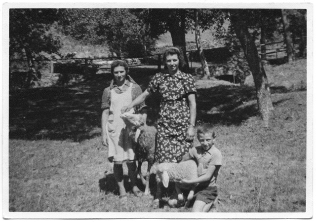 Bruna, Palma e Luigi Pietra con due pecore