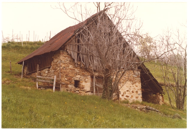 Stalla in fondo al ronco in via Pasture Genovesi a Comano