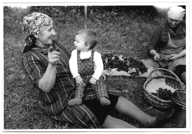Irma Pietra e Savina Degiorgi durante la vendemmia a Comano
