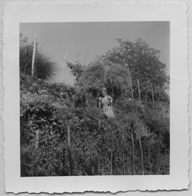 Ragazza che trasporta un carico di fieno in via Or a Comano