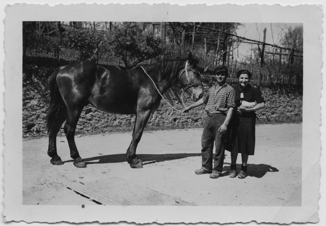 Coppia in posa con cavallo a Comano