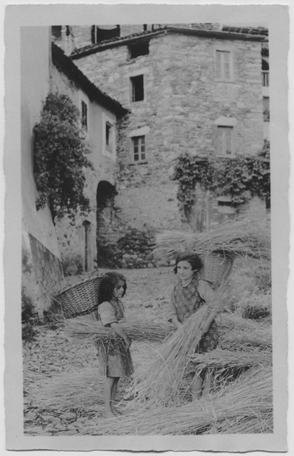 Bambine durante la raccolta della paglia a Sonvico