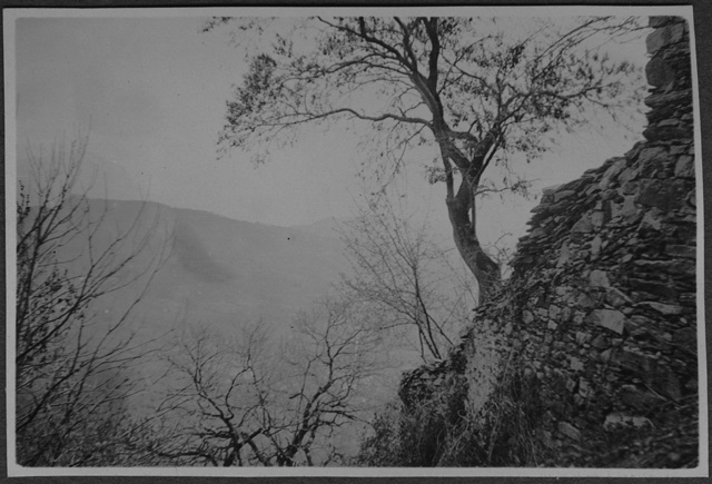 Dirupo con muro e piante e scorcio su delle montagne