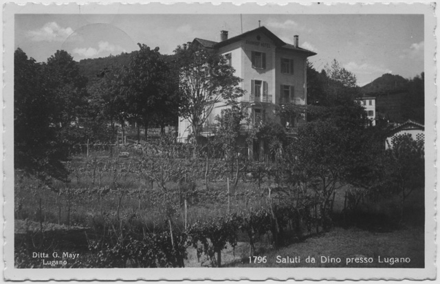 Cartolina di Dino con l'Hotel California