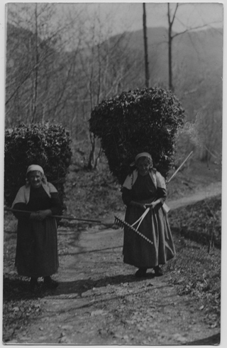Donne che trasportano un carico di foglie a Sonvico