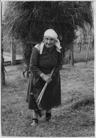 Rosa Quadri mentre trasporta un cargansc di fieno