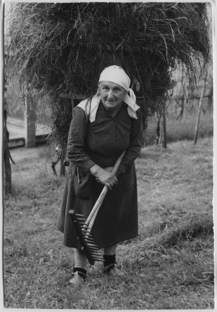 Rosa Quadri mentre trasporta un cargansc di fieno