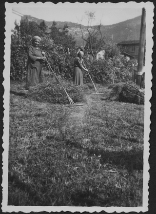 Fienagione a Sonvico