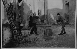 Battitura delle castagne a Sonvico