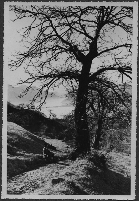 Uomo seduto su di un sentiero sul Monte San Giorgio
