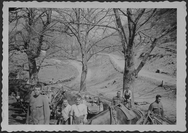 Militari con cavalli a Madonna d'Arla