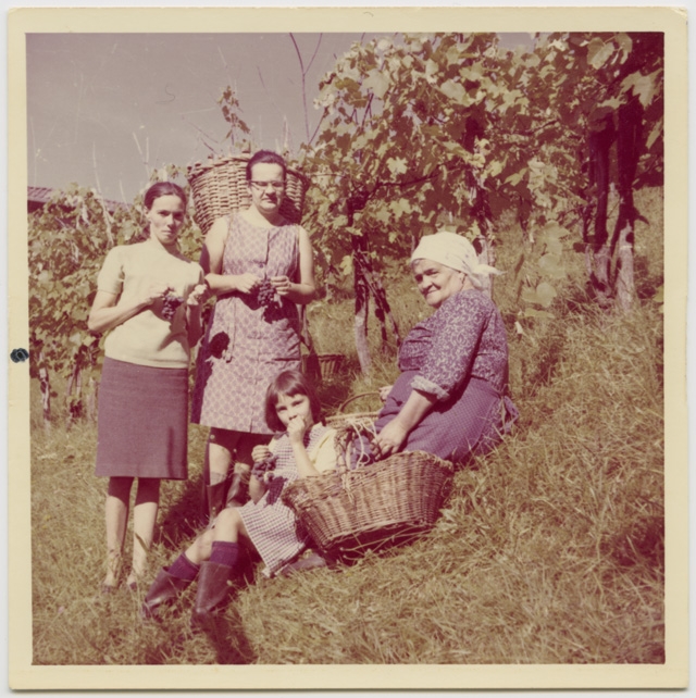 Donne al lavoro durante la vendemmia a Sonvico