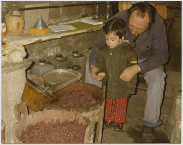 Uomo con bambino accanto a dei tini di uva durante la vinificazione
