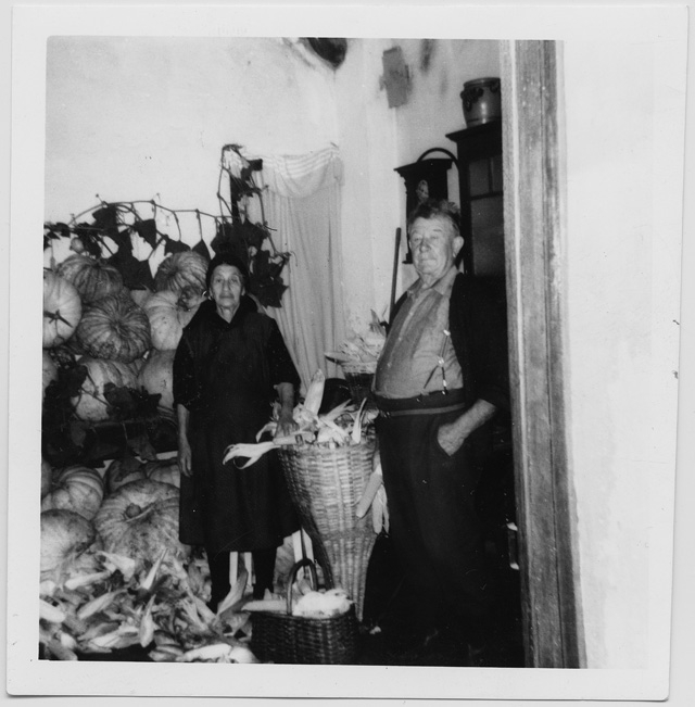 Coppia in posa con raccolto di zucche e granoturco