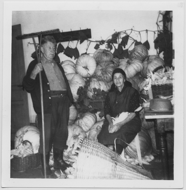 Coppia in posa con raccolto di zucche e granoturco