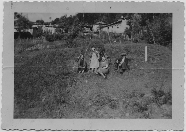 Gruppetto in posa sopra a un prato