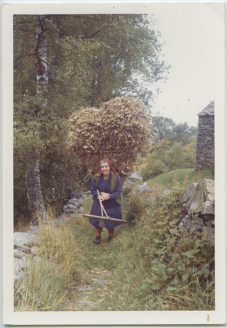 Piera Storni al lavoro ai Monti di Condra