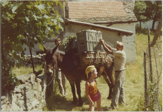 Plinio Storni ai Monti di Condra dopo un viaggio con il mulo